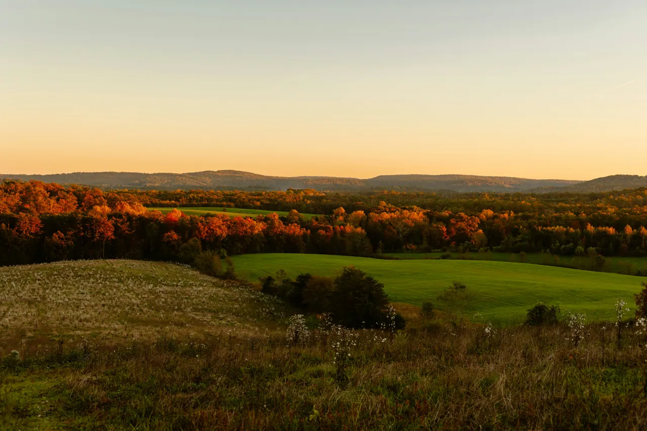 Rolling pasture at sunset with autumn hardwoods and low ridges in the distance