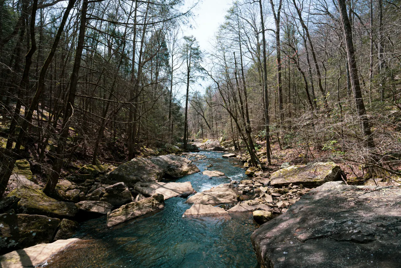 A clear creek running between large rocks through a bare winter forest
