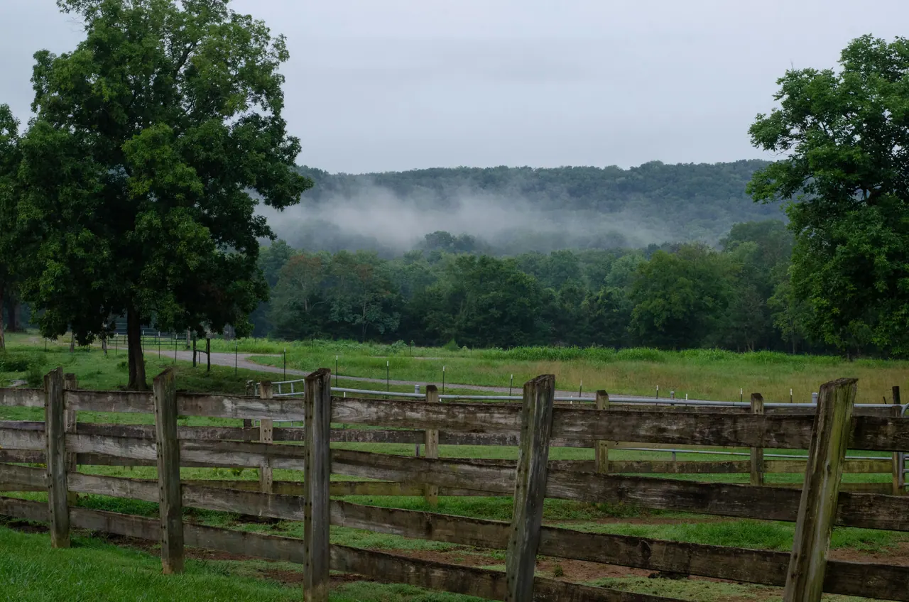 Weathered wooden plank fence in front of a pasture, a gravel lane and a wooded ridge in morning fog