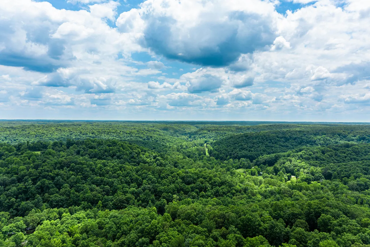 Aerial view of rolling hills covered in green hardwood forest under a cloudy sky