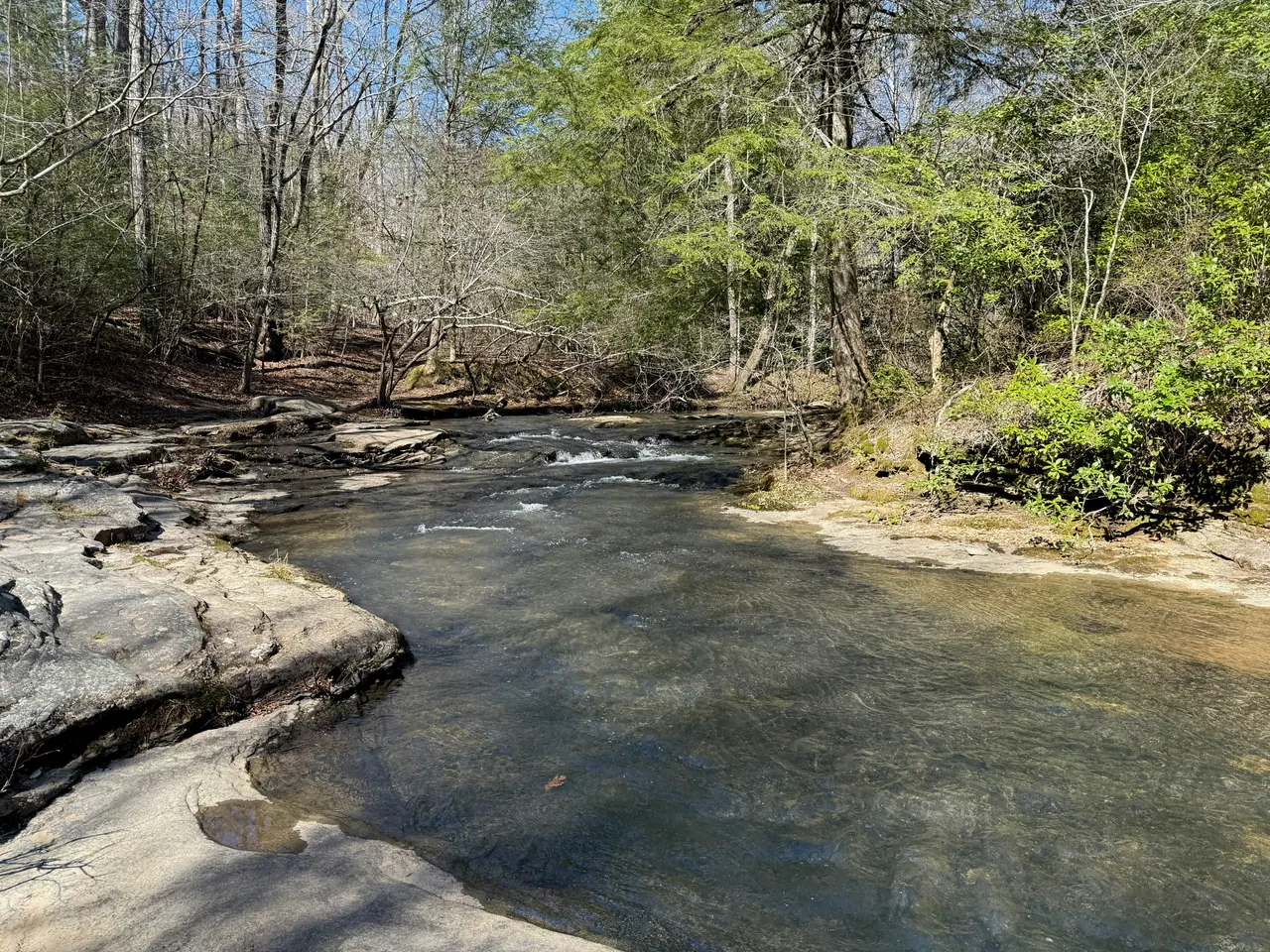 A clear stream flowing over flat sandstone through an early spring forest