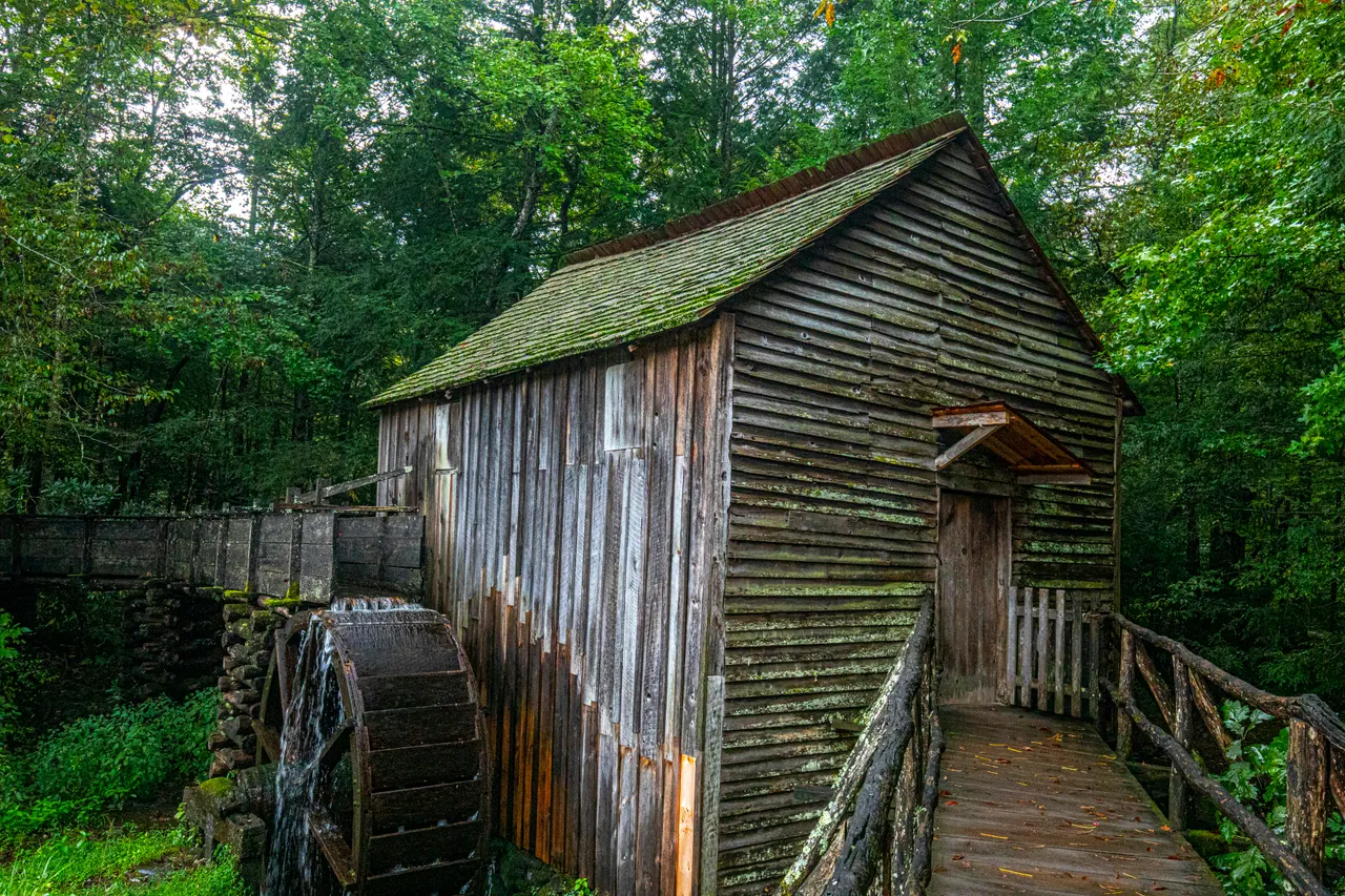 Weathered wooden gristmill with a water wheel and a plank walkway in a green forest