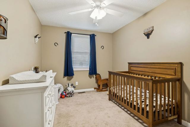 Rock Bridge Road photo 21