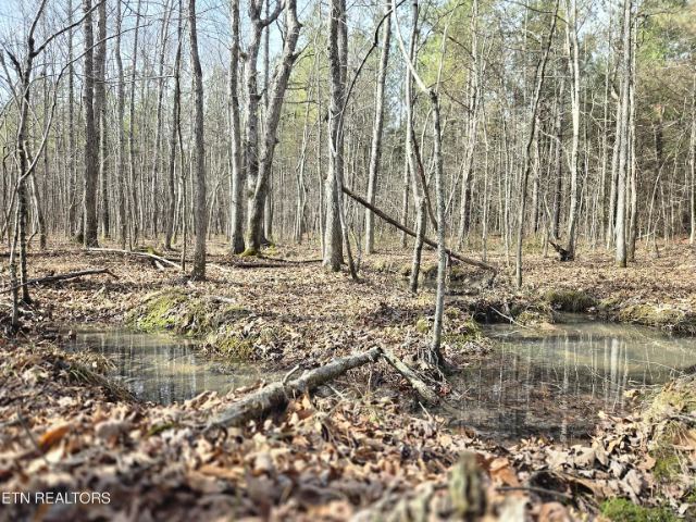 Cottonwood Tr photo 29