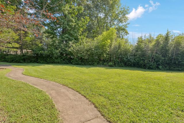 Lone Oak Road photo 11