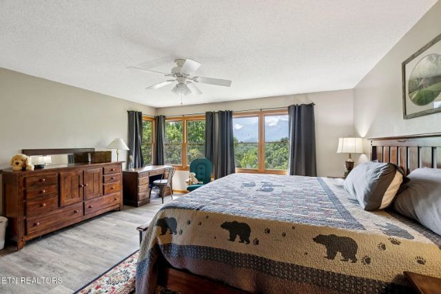 Heiden Drive photo 24