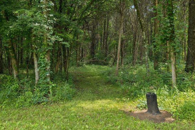 Mcbride Road photo 42