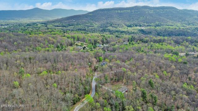 Grouse Ridge Road photo