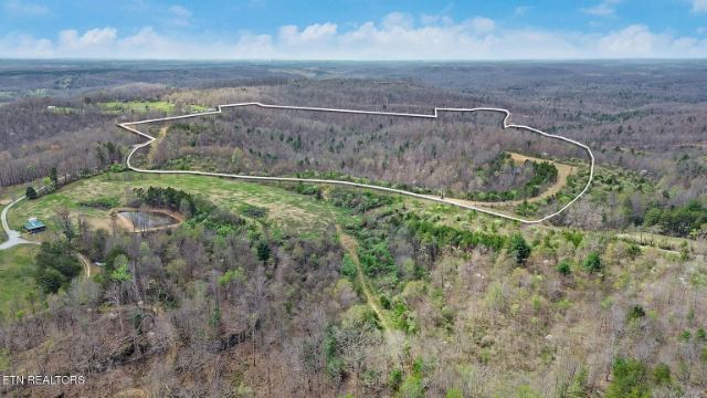 Grassy Knob Road photo