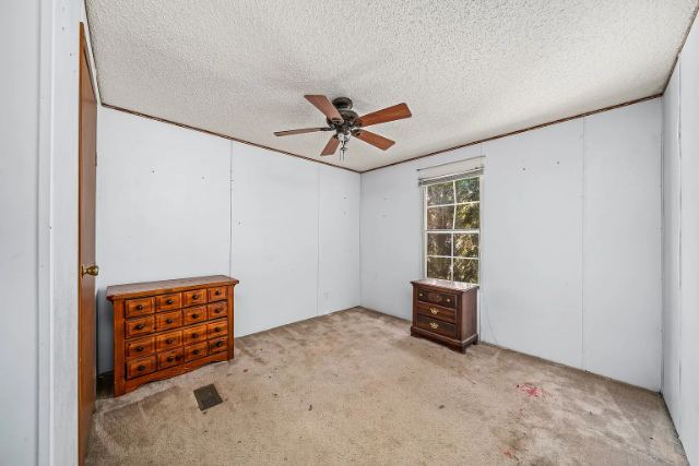 Big Horn Drive photo 26