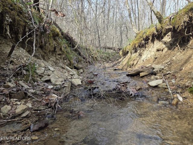 Grassy Knob Road photo 19