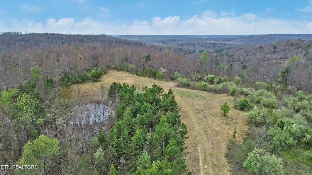 Grassy Knob Road photo 10