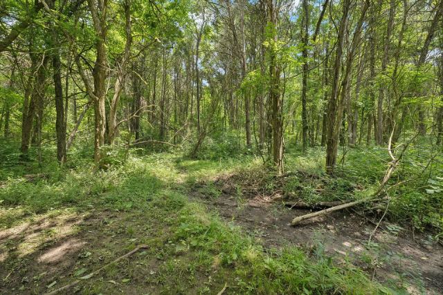 Mcbride Road photo 74