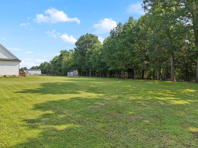 Mcbride Road photo 58