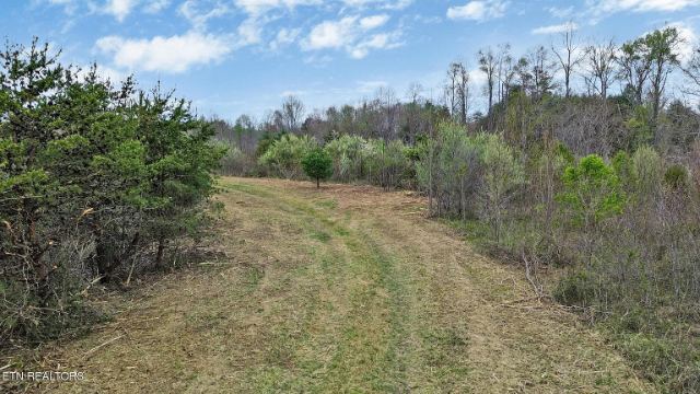 Grassy Knob Road photo 1