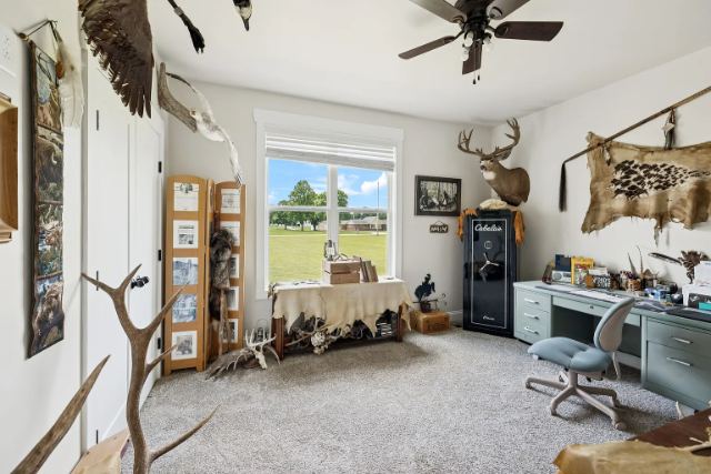 Mcbride Road photo 40