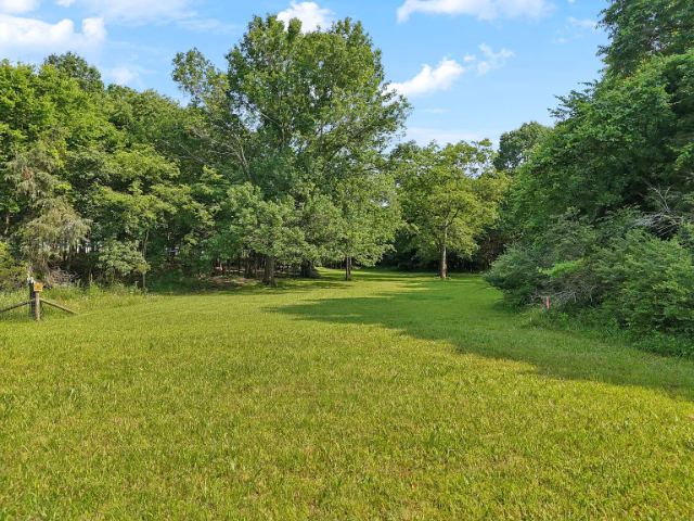 Mcbride Road photo 56