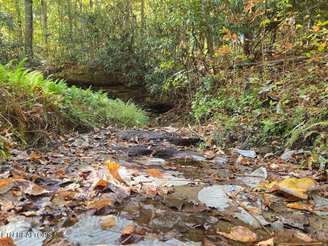Rockhouse Pass photo 53