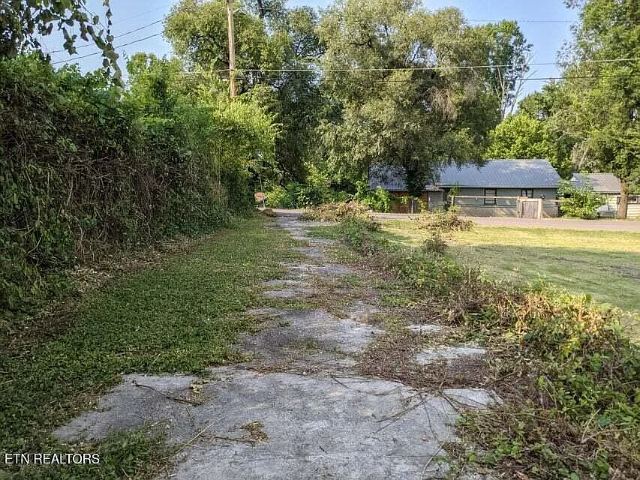Young Avenue photo
