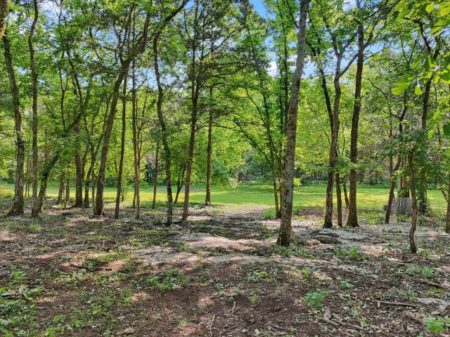 Mcbride Road photo 36
