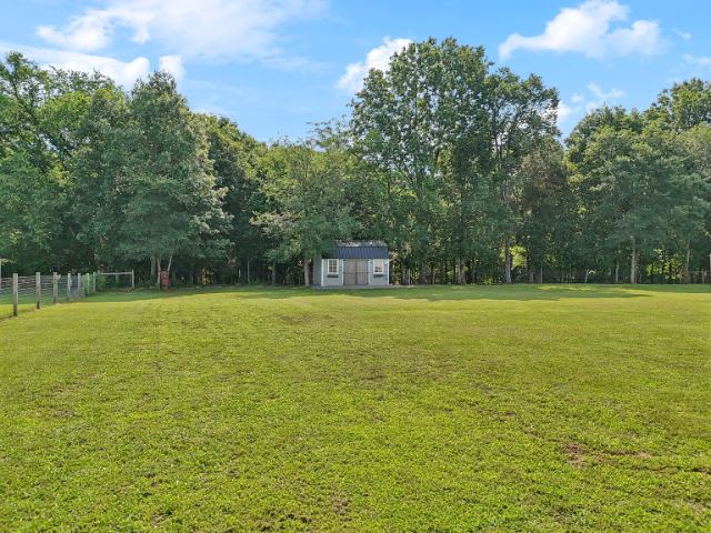 Mcbride Road photo 34