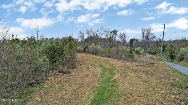 Grassy Knob Road photo 23