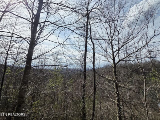 Grassy Knob Road photo 18