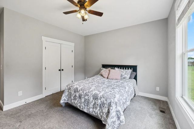 Mcbride Road photo 66