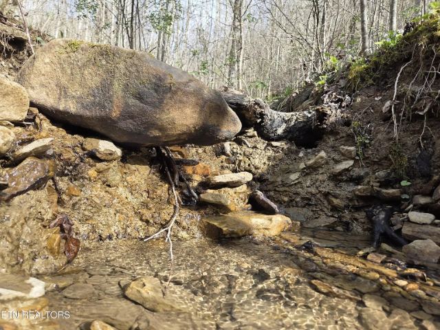 Grassy Knob Road photo 17