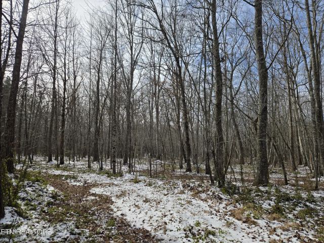 Cottonwood Tr photo 20