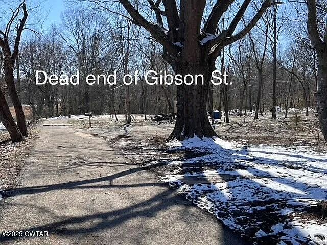 Gibson Street photo 18