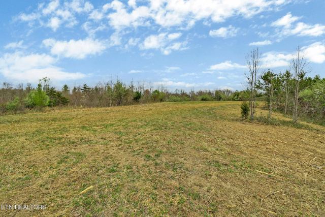 Grassy Knob Road photo 24