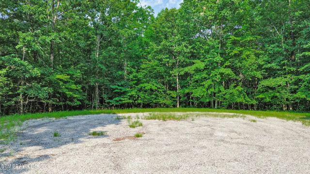 Anne Place photo 15