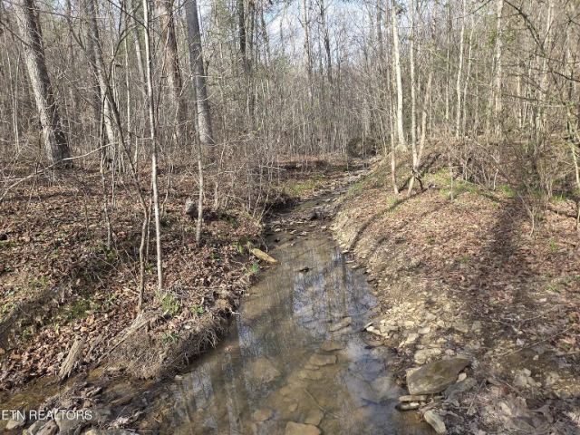 Grassy Knob Road photo 16