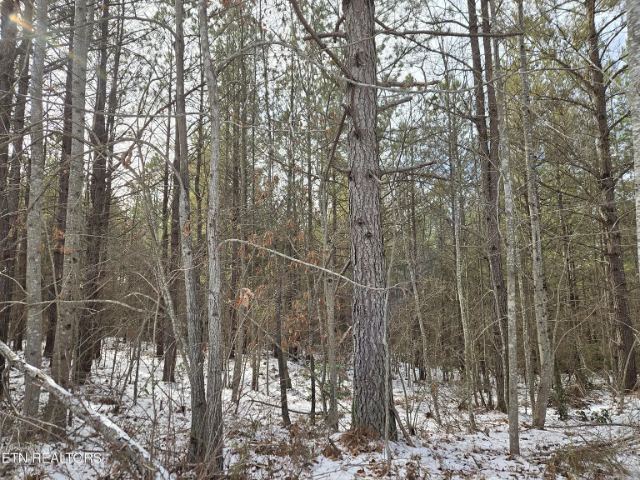 Cottonwood Tr photo 12