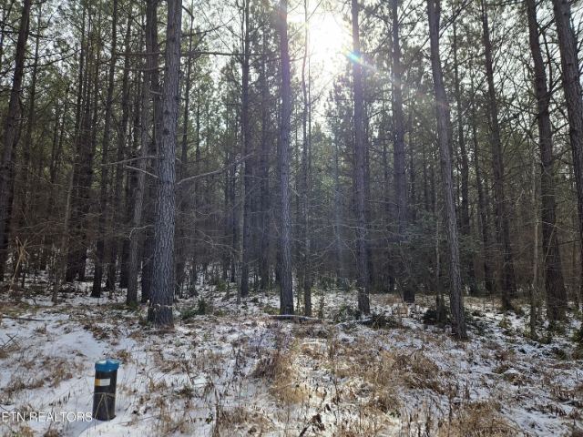 Cottonwood Tr photo 13