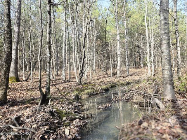 Cottonwood Tr photo 17