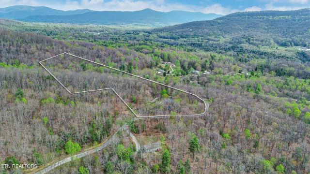 Grouse Ridge Road photo