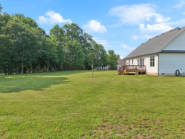 Mcbride Road photo 70