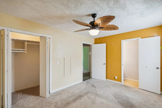 Rockwood Drive photo 19