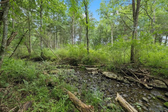 Mcbride Road photo 72