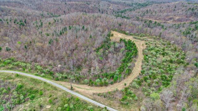 Grassy Knob Road photo