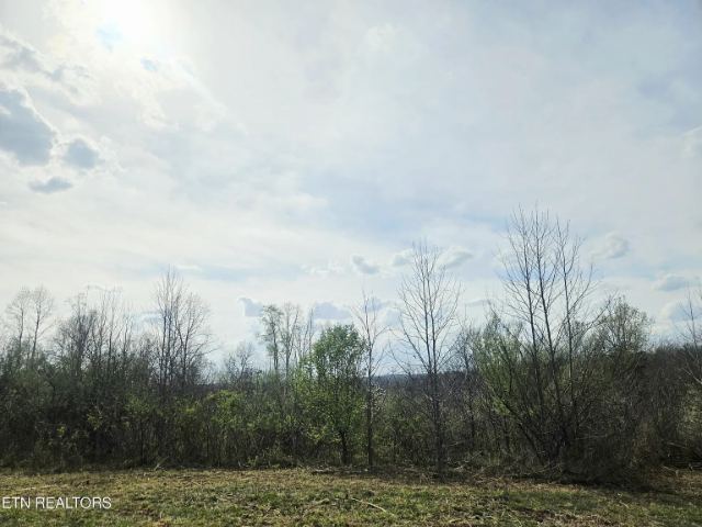 Grassy Knob Road photo 12
