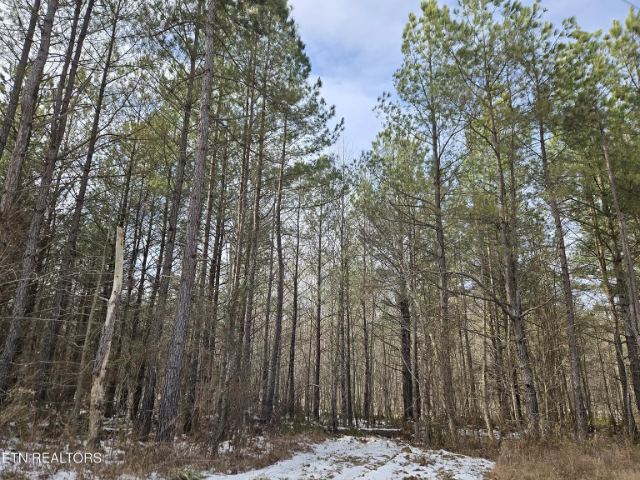 Cottonwood Tr photo 14