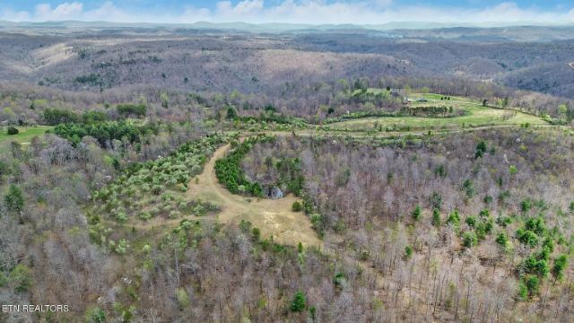 Grassy Knob Road photo 11