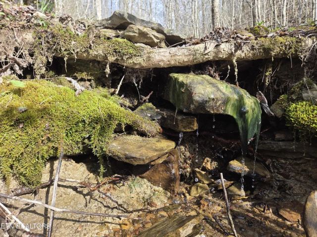 Grassy Knob Road photo 22