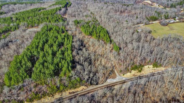 The land