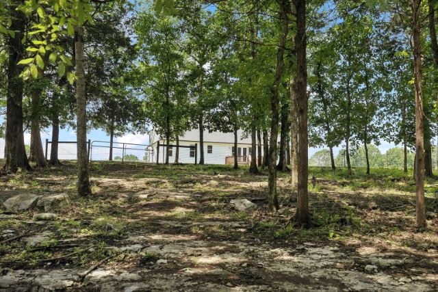 Mcbride Road photo 33