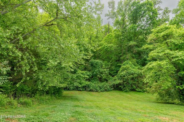 Blacksferry Road photo 21