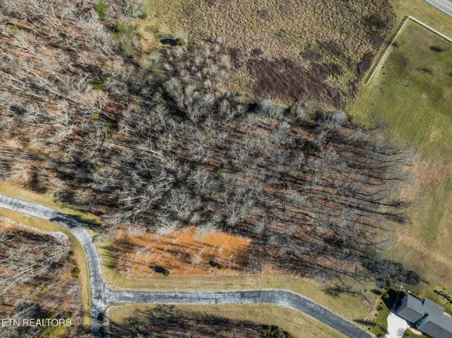 Eagle Ridge Drive photo 12